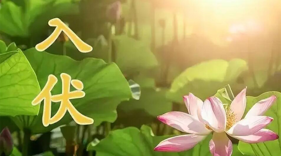 入伏天來襲！金環電器提醒大家要注意的事項