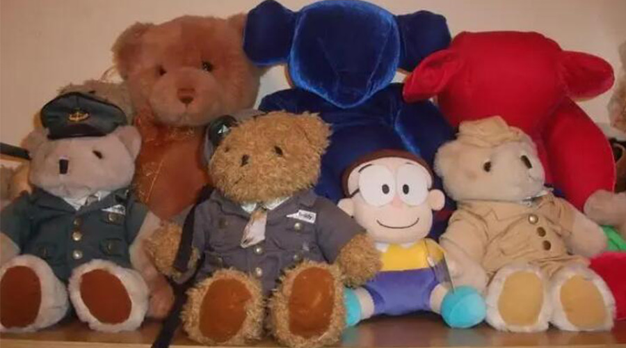 解答！毛公仔可以使用滾筒衣服烘干機除菌嗎